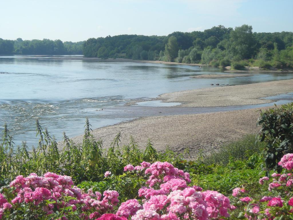 Hotel De La Loire Saint-Satur ภายนอก รูปภาพ